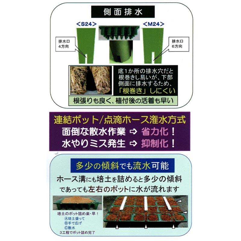 連結ポット 育苗用 25個入 24穴 M24 600×400×100mm ランナー採り用 いちご炭疽病対策 セリエ 個人宅配送不可 代引不可 |  | 03
