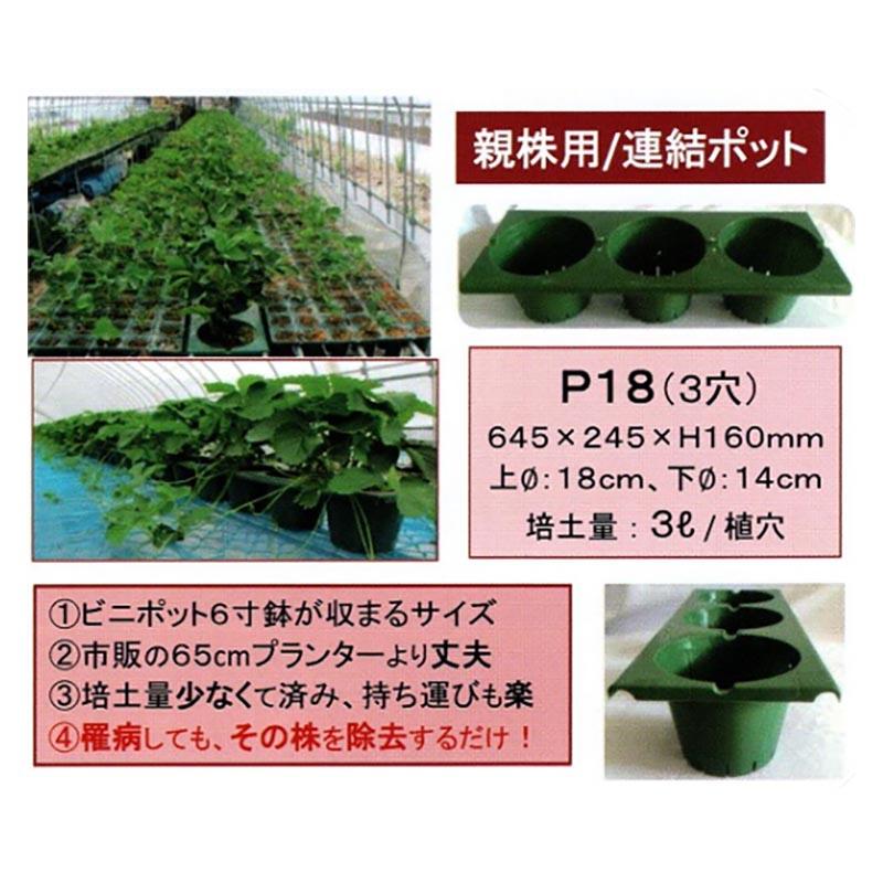 連結ポット 親株用 25個入 3穴 P18 645×245×160mm いちご炭疽病対策 セリエ 個人宅配送不可 代引不可 |  | 01