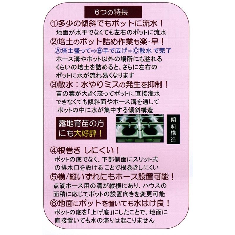 連結ポット 親株用 25個入 3穴 P18 645×245×160mm いちご炭疽病対策 セリエ 個人宅配送不可 代引不可 |  | 02