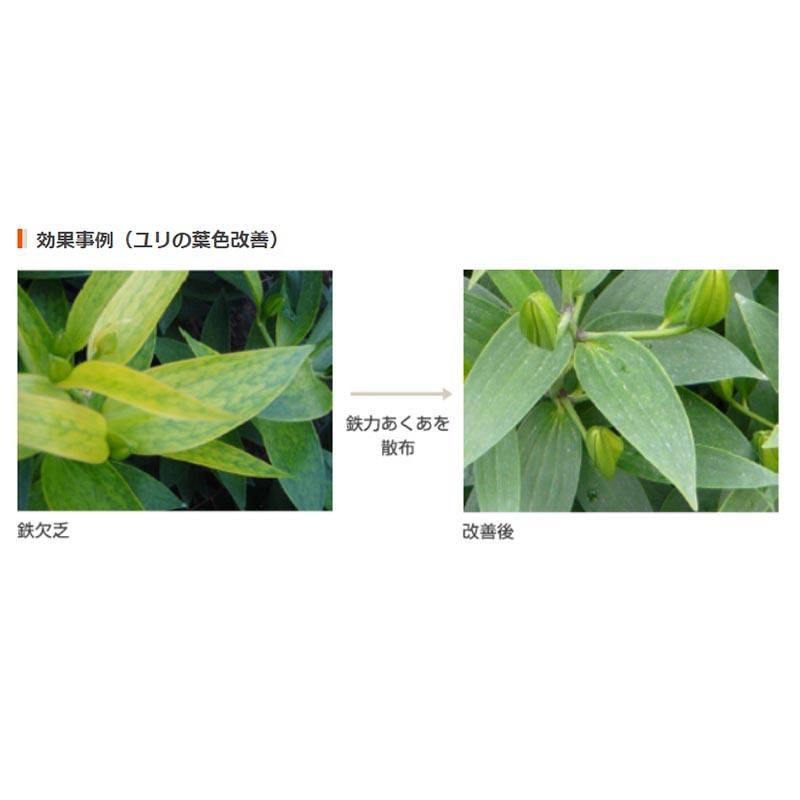 鉄力あくあ F10 2L 6本入 二価鉄配合 液体 肥料 鉄イオン サカタのタネ 代引不可 |  | 01