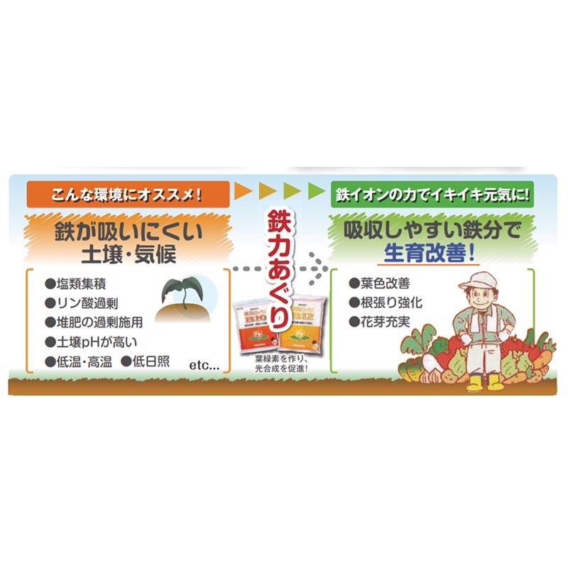 鉄力あぐり B10 15kg 二価鉄供給材 植物活性材 固形 肥料 鉄イオン サカタのタネ 代引不可_1