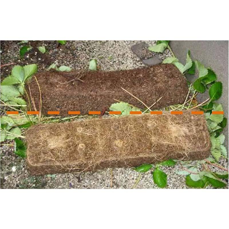 土壌改良剤 バイオの恵 粉粒タイプ 1L BB菌 根張り促進 ビッグバイオ 三冨 D |  | 01