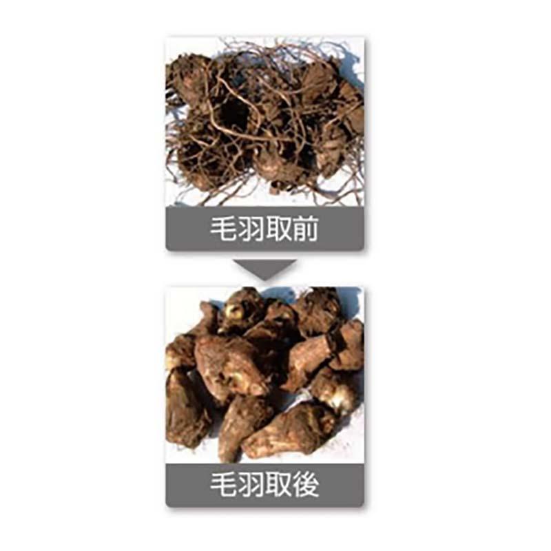 里芋ロール式 毛羽取機 SK-300T 三相 037216 里芋 サトイモ 毛羽取り ホクエツ オK 個人宅配送不可 代引不可 |  | 02