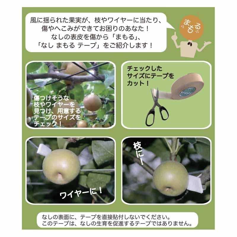 受注生産 りんご＆なしまもるテープ 36巻入 45mm×5m りんご なし 梨 守る テープ 傷防止 傷つかない 果実 菊水テープ 代引不可 |  | 02