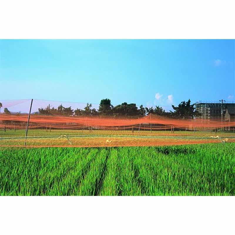 PE防鳥網 18×54m 網目45mm A300 東京戸張 5枚 鳥よけネット 400D オレンジ 防鳥 東戸 代引不可 |  | 01