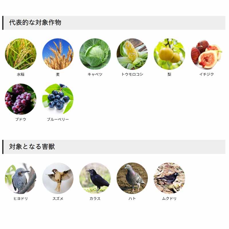 97%OFF!】 防鳥網 オレンジ 45mm目 200坪 18×36m 58278 防鳥網 45mm目 NA-50 (9m×18m) オレンジ