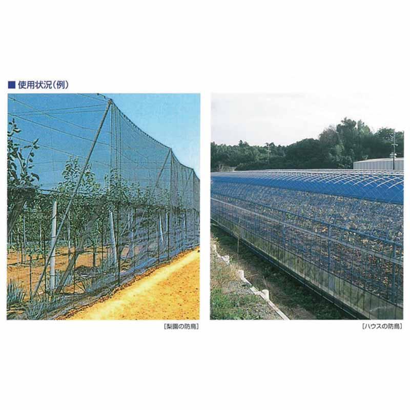 強力防鳥網 300坪 18×54m 網目20mm 1000D 東京戸張 青 鳥よけネット 防鳥 東戸 代引不可 |  | 01