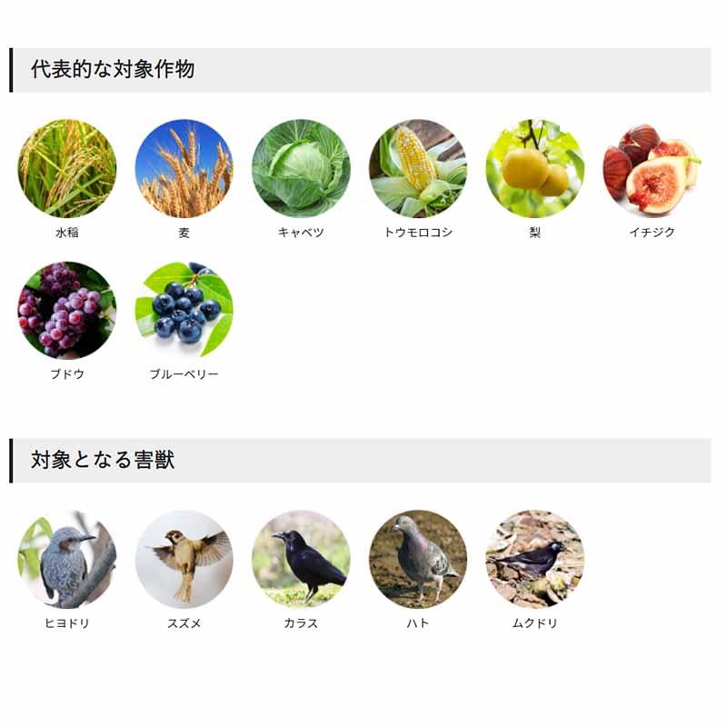 強力防鳥網 300坪 18×54m 網目20mm 1000D 東京戸張 青 鳥よけネット 防鳥 東戸 代引不可 |  | 02