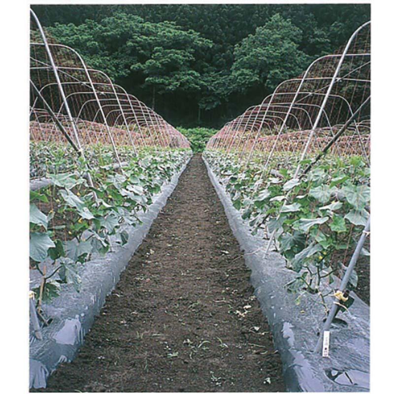 キュウリネット 網目18cm 巾4.2m×長さ100m RA42100 赤黒 12枚 東京戸張 支柱ネット きゅうり ネット 栽培 東戸 代引不可 |  | 01