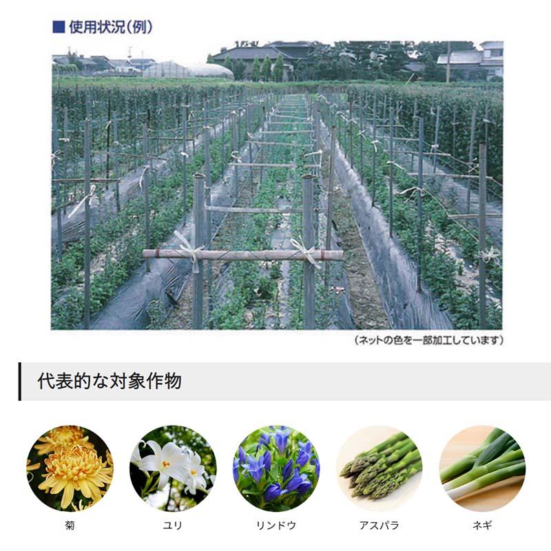 フラワーネット Bタイプ 7000d 網目10cm 7目×長さ100m B107 黄 単糸 東京戸張 花 ネギ アスパラ ネット 東戸 代引不可 |  | 01