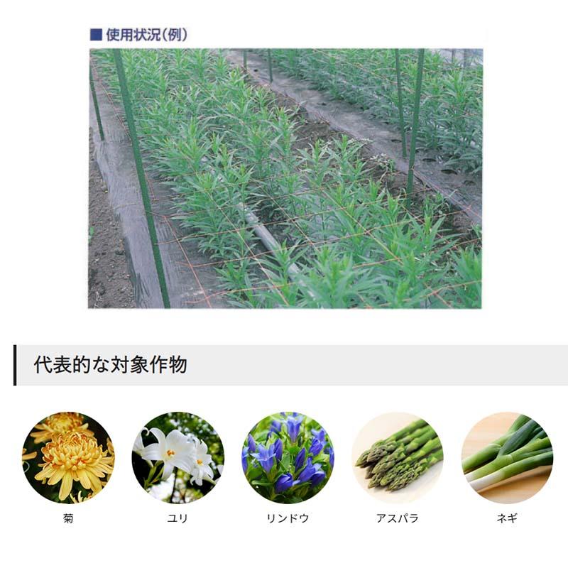 フラワーネット Cタイプ 400d×24本 網目30cm 2目×長さ100m C302 茶 20枚 撚糸 受注生産 東京戸張 花 ネギ アスパラ ネット 東戸 代引不可 |  | 01