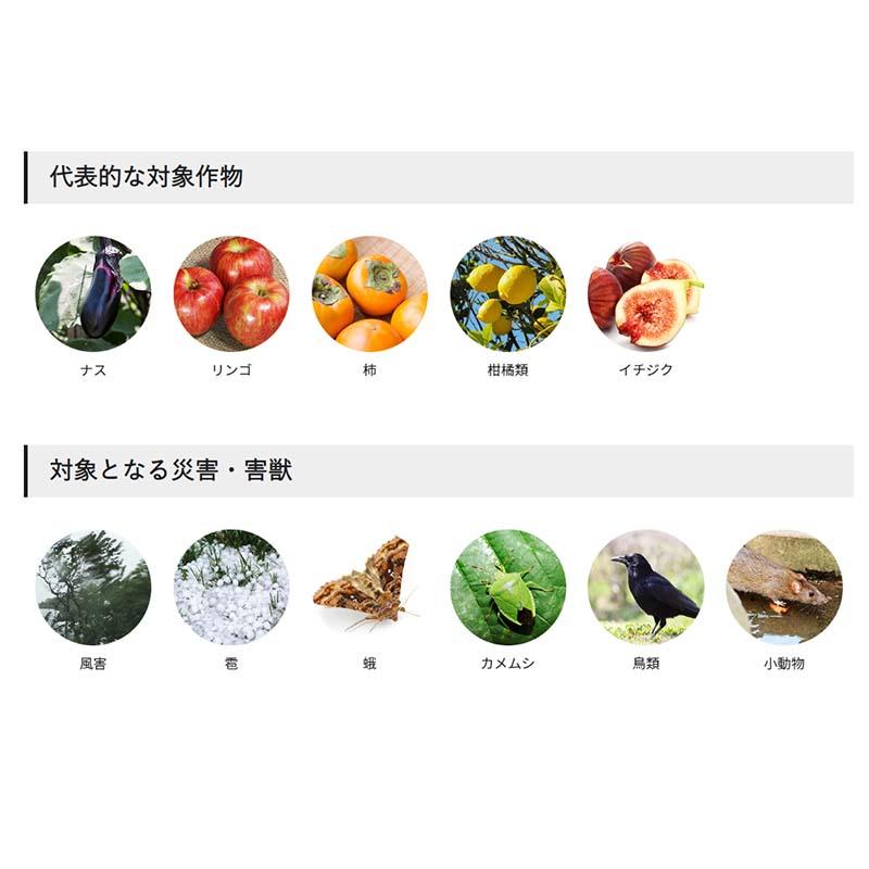 防風網 スカイラッセル 青 網目4mm 幅2m 長さ50m #420 中国製 3本入 東京戸張 防風 防鳥 ネット 東戸 代引不可 |  | 02