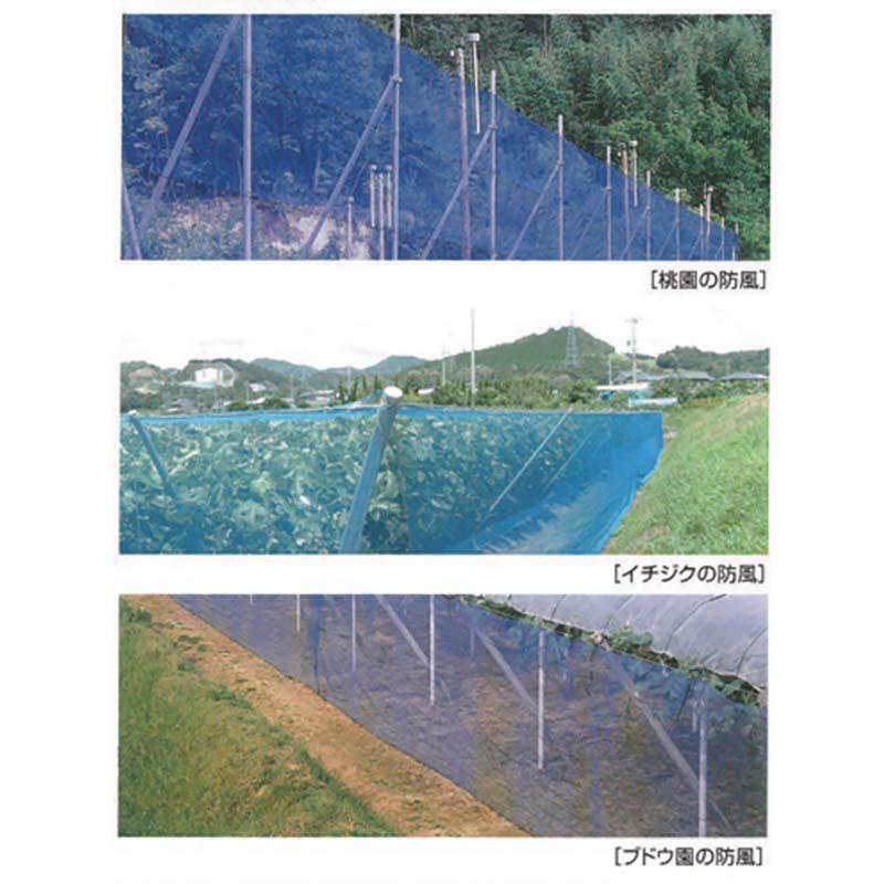 防風網 スカイラッセル 青 網目4mm 幅3m 長さ50m #430 中国製 2本入 東京戸張 防風 防鳥 ネット 東戸 代引不可 |  | 01