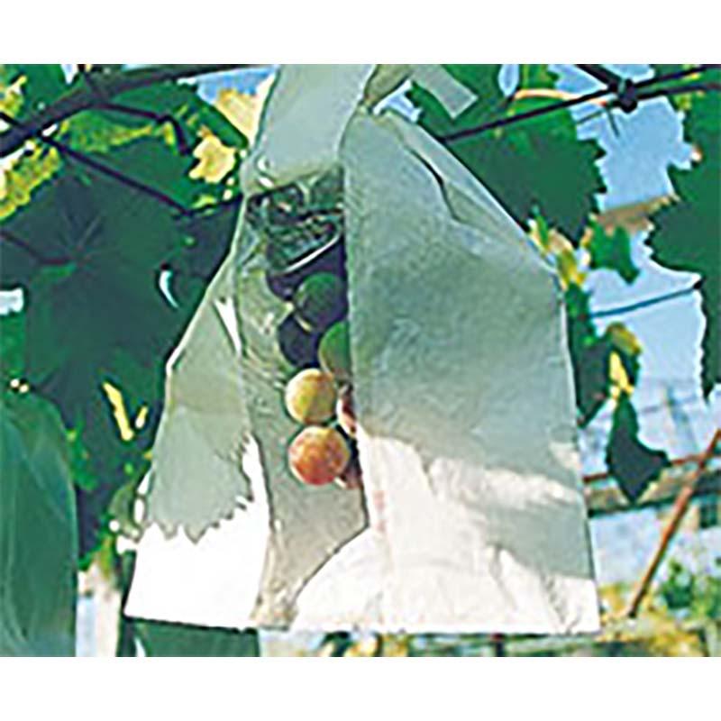 2500枚 果実袋 ぶどう 窓付 ブドウ袋 S2号 巨峰 ピオーネなど 190×270mm 柴 タSD |  | 01