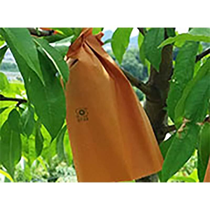 5000枚 果実袋 もも モモ Sオレンジ桃袋 一重袋 Vカット 白桃用 139×180mm 桃 柴 タSD |  | 01
