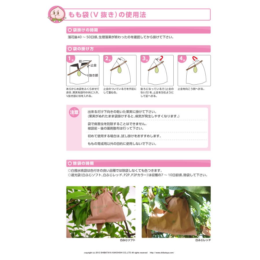 5000枚 果実袋 もも モモ 桃袋 13型 Vカット 158×200mm 着色管理 透光 防水 撥水 柴 タSD |  | 02