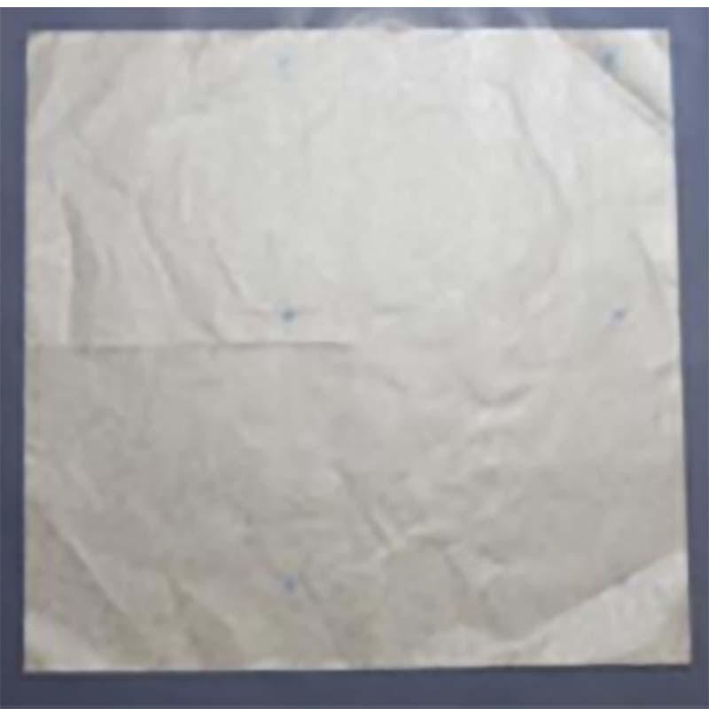 5000枚 果実袋 ぶどう ロー引 ブドウ傘 210×210mm 中房用 柴 タSD | 