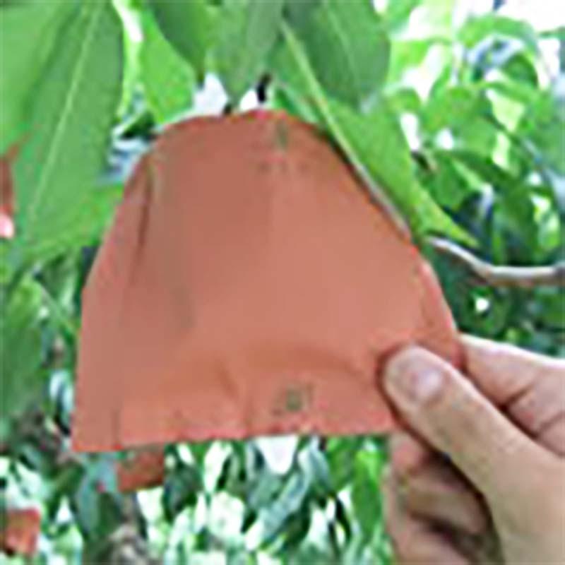 2500枚 果実袋 桃 もも二重袋 P2P 130×165mm モモ 柴 タSD | 