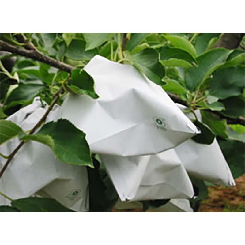 2500枚 果実袋 りんご HB 青二重袋 7切 144×181mm 林檎 リンゴ 柴 タSD |  | 01