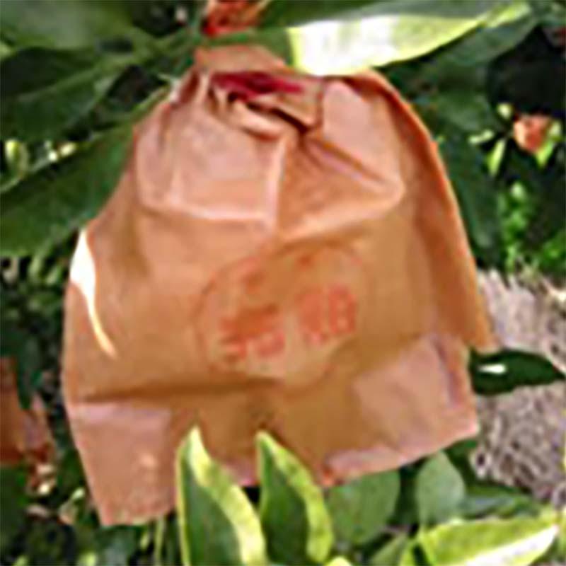 2500枚 果実袋 みかん育成 クカ赤二重袋 15型 168×200mm みかん ミカン 柴 タSD | 