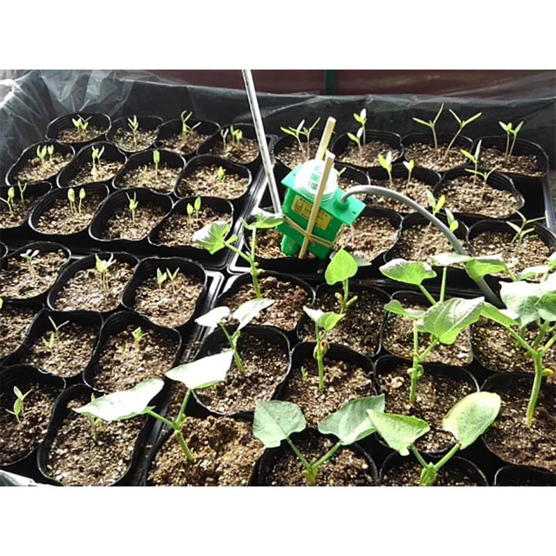 グリーンサーモ 三相 加温用 サーモ 昭和精機工業 タS 代引不可 |  | 01