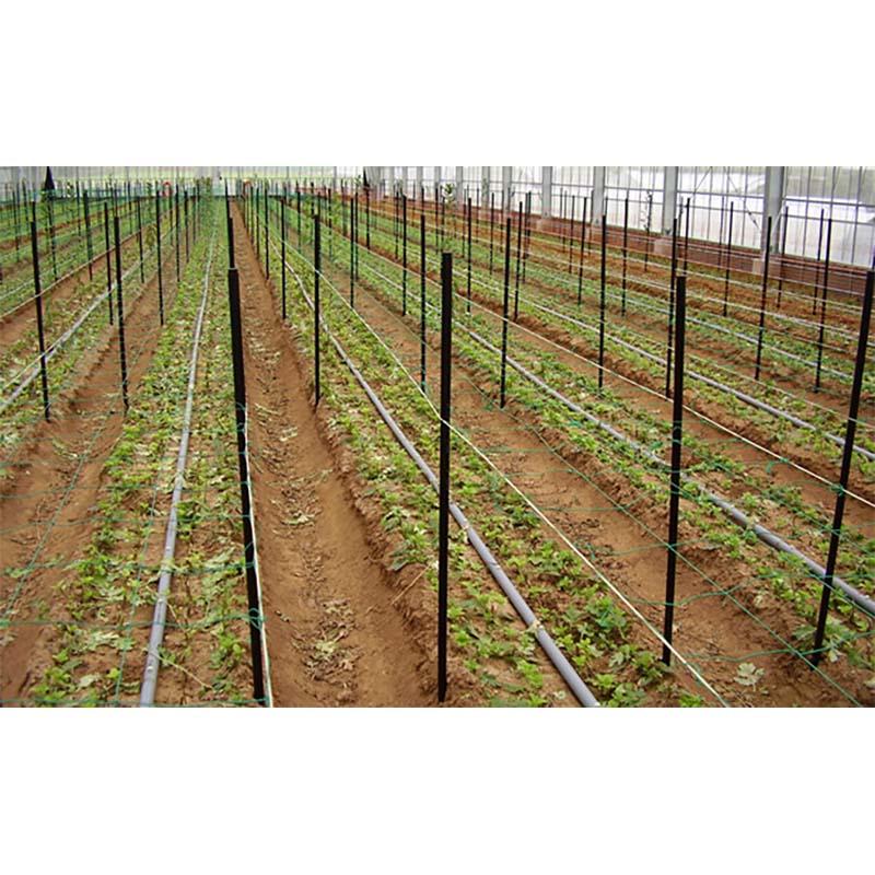 農業用支柱 コンポーズ パイプ 直径26mm×長さ1.5m 100本入 園芸 支柱 宇部エクシモ タS 本州限定販売 個人宅配送不可 代引不可 |  | 02