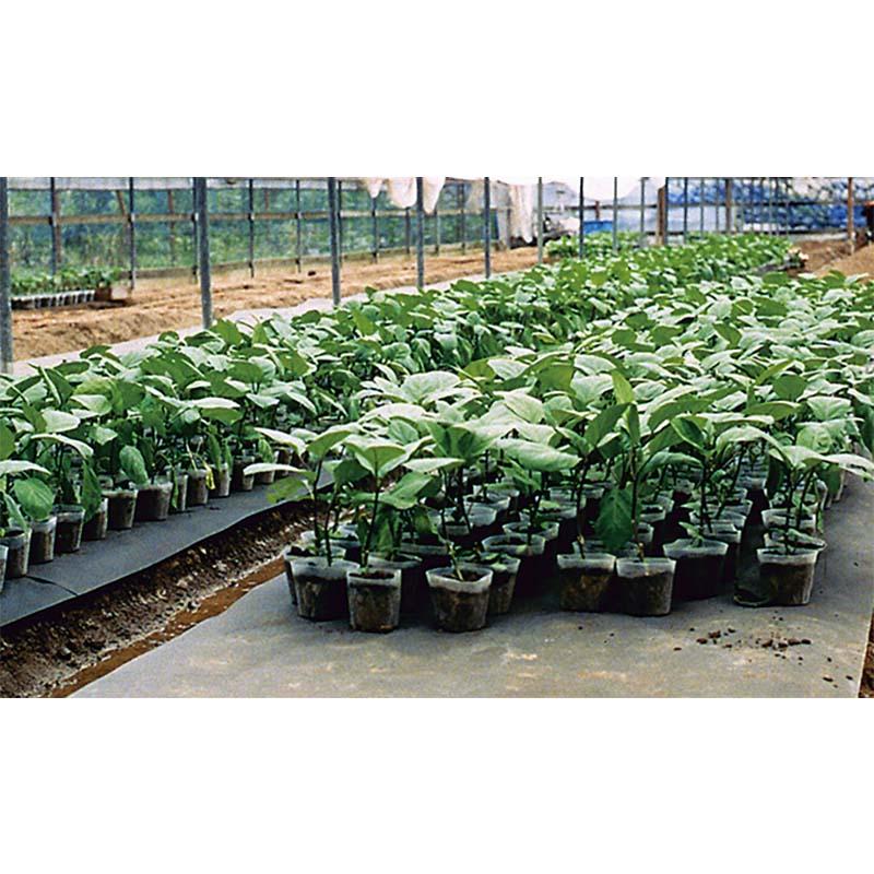 2本 ユニチカ ラブシート #61009 BKG ブラック 厚さ0.35mm 幅120cm 長さ100m 不織布 カ施 個人宅配送不可 代引不可 | 