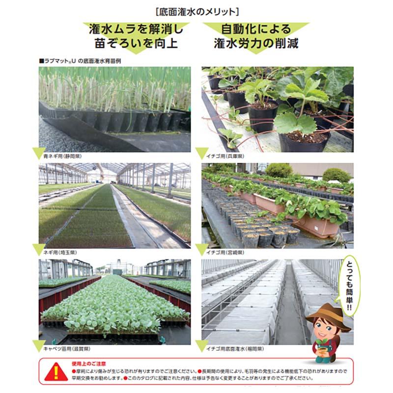 ユニチカ　ラブマット　U　底面潅水用　LN250GRO　厚さ2.20mm　幅100cm　長さ50ｍ　不織布　カ施　個人宅配送不可　代引不可