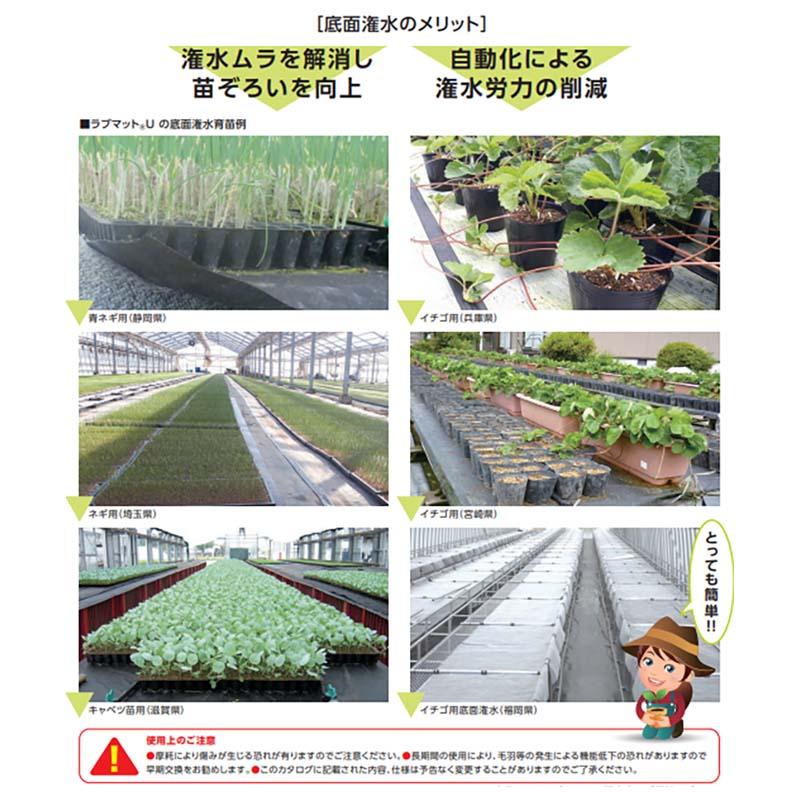 ユニチカ ラブマット U 底面潅水用 LN250GRO 厚さ2.20mm 幅100cm 長さ50m 不織布 カ施 個人宅配送不可 代引不可 |  | 02