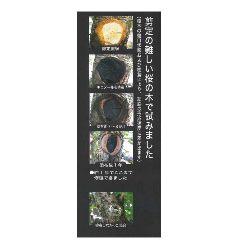 キニヌール 墨の力 150g 13209 樹木 切り口 保護剤 樹木保護液 墨運堂 カS D |  | 02