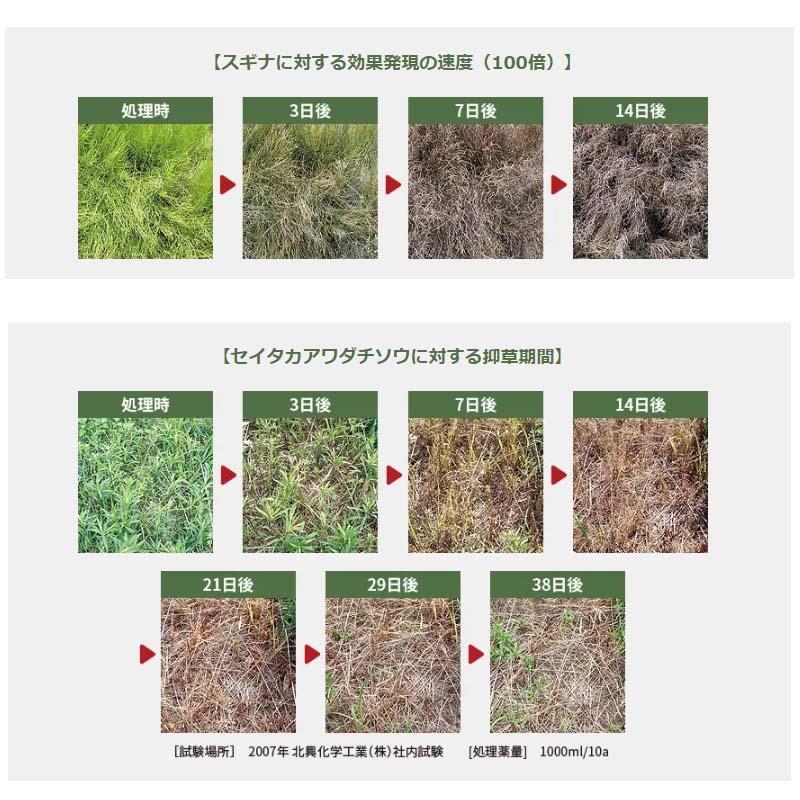 除草剤 ザクサ液剤 10L 10リットル 非選択性茎葉処理除草剤 除草 除草剤 ザクサ液剤 10L 10リットル 非選択性茎葉処理除草剤 除草