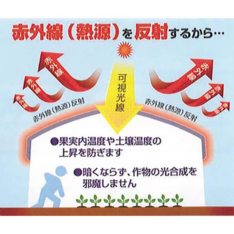 ハウス用シート ワリフ 明涼 20 幅1m 長さ100m 遮光率20％ 農業用被覆材 ビニールハウス ハウスの外掛け 内張り JX ANCI 日新商事 サT 代引不可 |  | 02