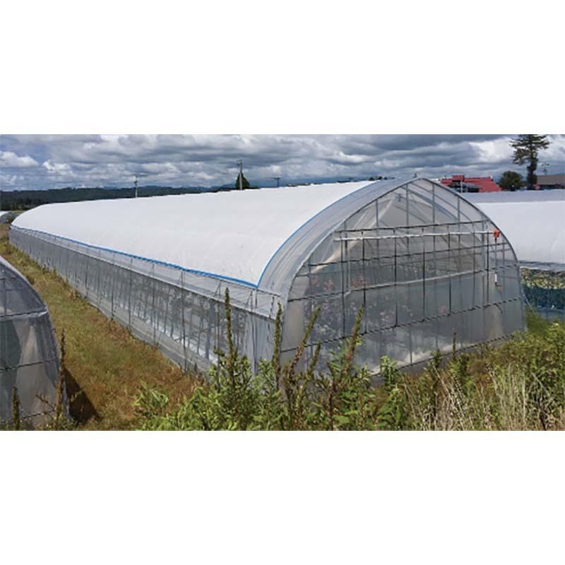 ハウス用シート ワリフ 明涼 40 幅1m 長さ100m 遮光率40％ 農業用被覆