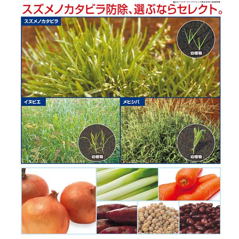 除草剤 セレクト乳剤 100ml 農薬 化学除草剤 クレトジム乳剤 イネ科雑草専用 園芸 農業 畑 アリスタ Vデ 代引不可 産直 |  | 01