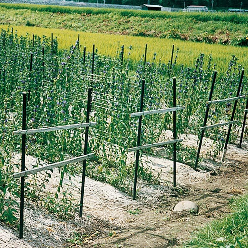 農業用支柱 イボ竹 打込用 26×2.1 K BC 積水樹脂 25本 直径 26mm 長さ 2100mm ネット 栽培 支柱 農業 柵 果樹 木 倒木 防止 園芸 タS 個人宅配送不可 代引不可 |  | 01