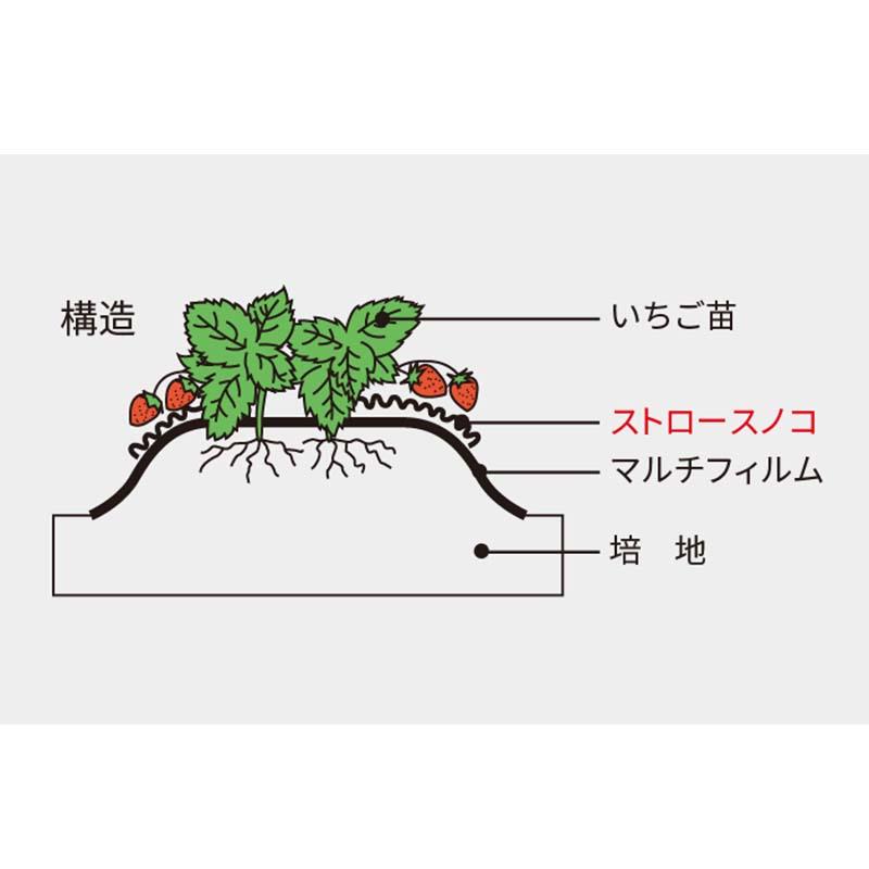 すのこ ストロースノコ I型-25 いちご用 積水樹脂 8巻 幅250mm 長さ25m 農業 園芸 栽培 いちご トマト タS 個人宅配送不可 代引不可 |  | 02