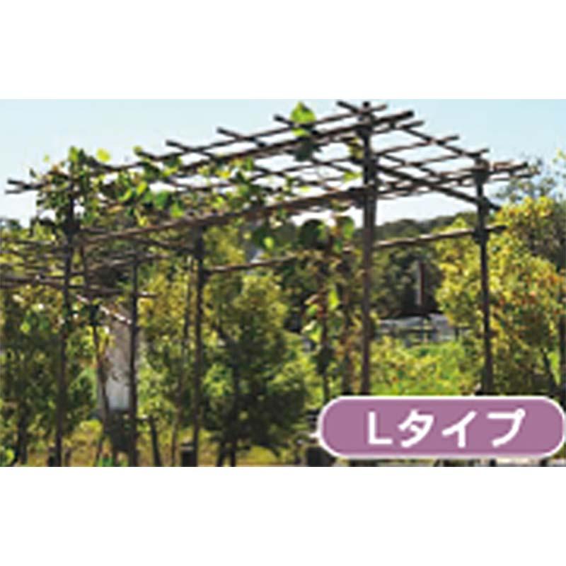 果樹棚 フルーツパーゴラ Lタイプ 積水樹脂 支柱 家庭菜園 栽培 果物 ぶどう ヘチマ 藤 つる性植物 サT 個人宅配送不可 代引不可 | 