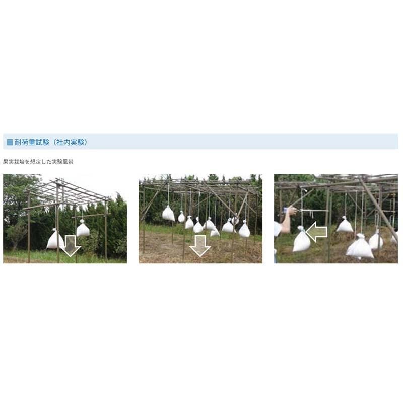 果樹棚 フルーツパーゴラ Lタイプ 積水樹脂 支柱 家庭菜園 栽培 果物 ぶどう ヘチマ 藤 つる性植物 サT 個人宅配送不可 代引不可 |  | 02