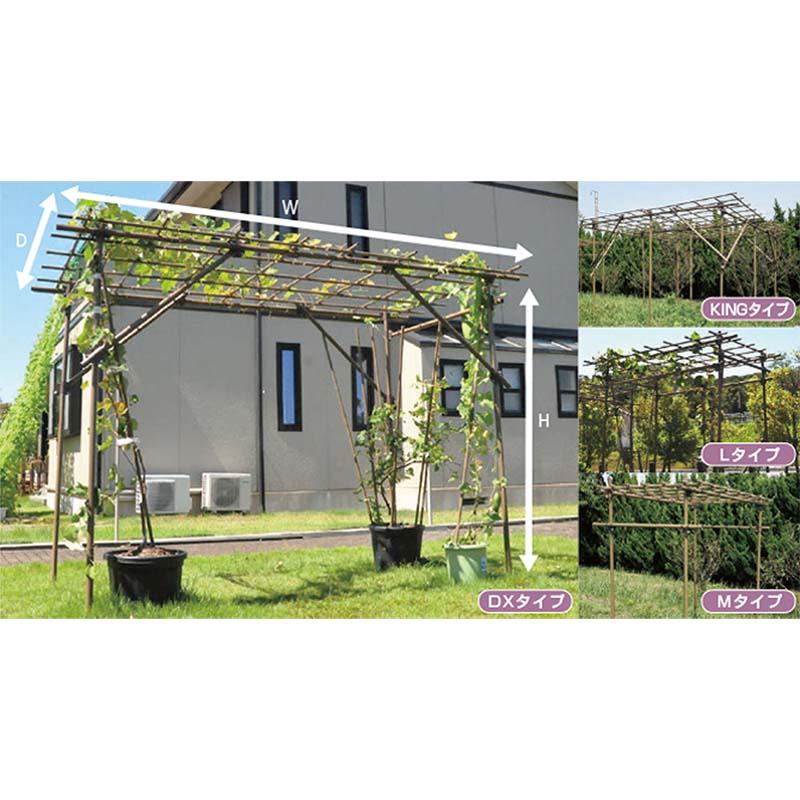 果樹棚 フルーツパーゴラ KINGタイプ 積水樹脂 支柱 家庭菜園 栽培 果物 ぶどう ヘチマ 藤 つる性植物 サT 個人宅配送不可 代引不可 |  | 01