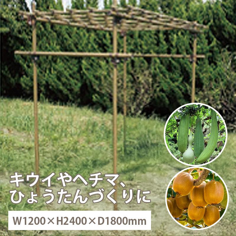 果樹棚 フルーツパーゴラ Mタイプ 積水樹脂 奥行1800mm × 幅1200mm × 高さ2400mm 支柱 家庭菜園 栽培 ぶどう キウイ つる性植物 サT 個人宅配送不可 代引不可 | 