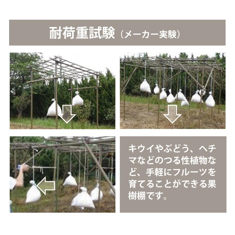 果樹棚 フルーツパーゴラ Mタイプ 積水樹脂 奥行1800mm × 幅1200mm × 高さ2400mm 支柱 家庭菜園 栽培 ぶどう キウイ つる性植物 サT 個人宅配送不可 代引不可 |  | 02