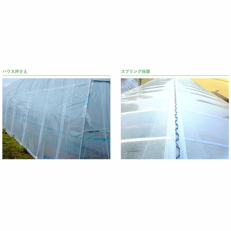 フィルム押さえ トーカン スーパーベルト120 緑の補強糸入 幅12cm 長さ100m 4巻入 ハウス押さえ 東罐興産 カ施 個人宅配送不可 代引不可 |  | 03