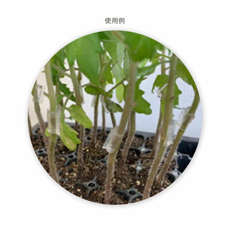 受注生産 イージー接ぎ木キーパー 1.4mm 50000個 接木 キーパー 育苗 園芸 明和 代引不可 |  | 02