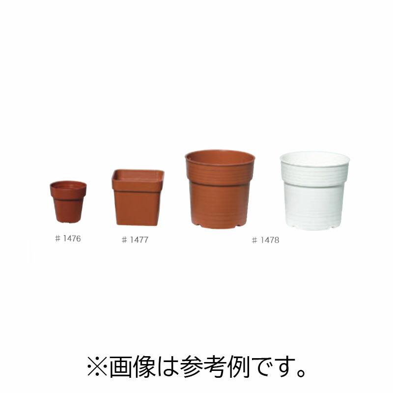 プラスチックポット 1寸鉢 #1476 4600個 茶 ブラウン ミニ鉢シリーズ 園芸 鉢 明和 代引不可 | 