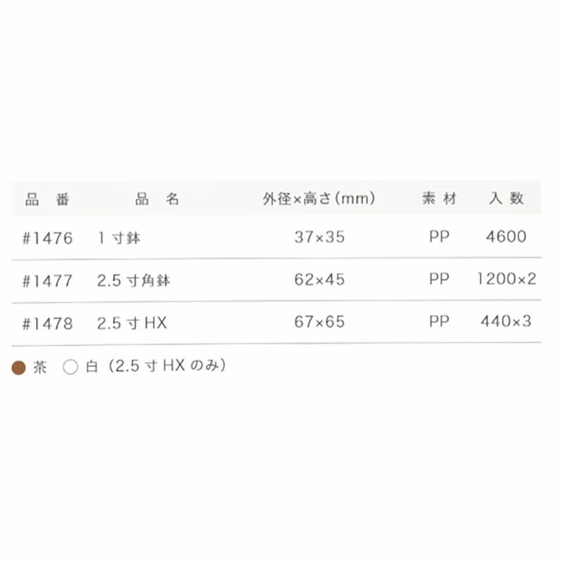 プラスチックポット 1寸鉢 #1476 4600個 茶 ブラウン ミニ鉢シリーズ 園芸 鉢 明和 代引不可 |  | 01