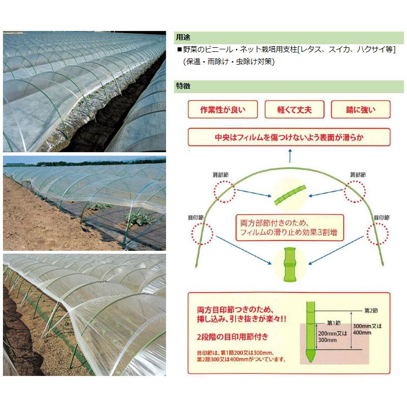 トンネル栽培用支柱 フシトン 50本 直径11×2100mm フシ付 トンネル支柱 被覆鋼管支柱 支柱 タキロンシーアイ カ施 個人宅配送不可 北海道配送不可 代引不可 