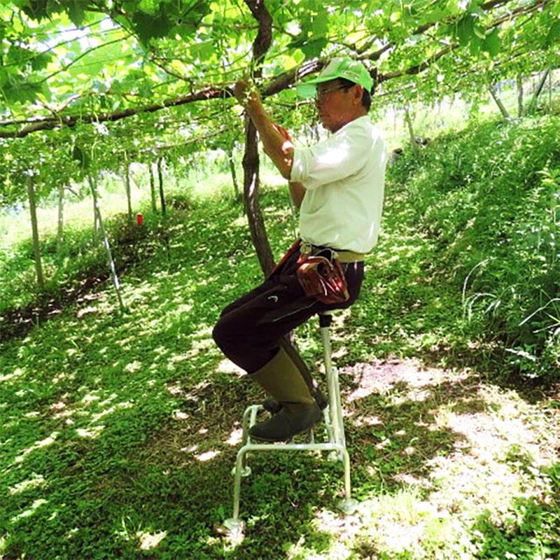 踏み台 傾斜地専用 ヒップステップ HSK-15 アルミ製 日本製 農業 園芸 ミツル 個人宅配送不可 代引不可 |  | 01