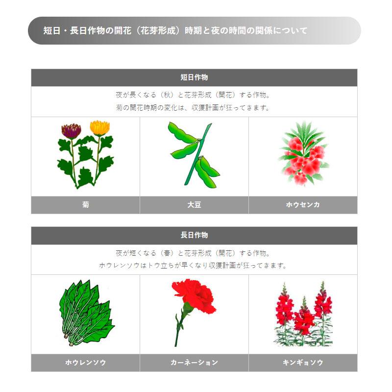 LED 防蛾灯 モスバリア ジュニア2 FOR フラワー KTJ2-01 省電力 屋外灯 蛾灯 防虫 発光ダイオード ハウス 農業 農業用品 農業資材 ゼロビーム ZEROBEAM 代引不可 |  | 01