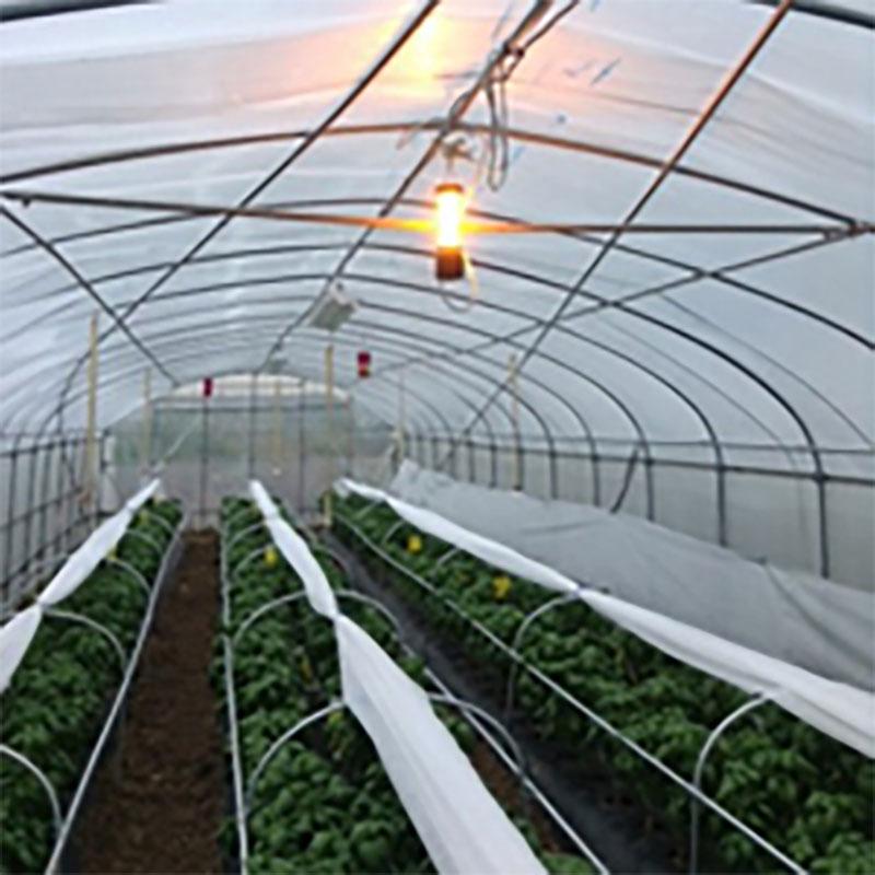 LED 防蛾灯 モスバリア ジュニア2 アーバン KTJ2-01 省電力 屋外灯 蛾灯 防虫 発光ダイオード 農業 農業用品 農業資材 ゼロビーム ZEROBEAM 代引不可 |  | 03