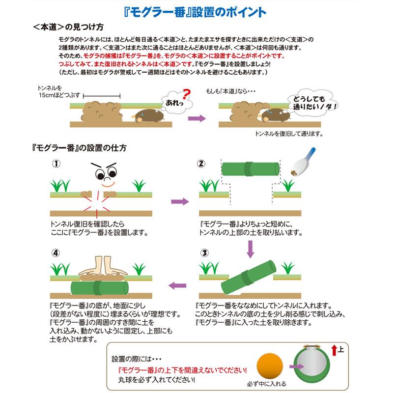 タイガー モグラ一番 TMI-2 10パック モグラ専用 両面扉式 捕獲器 獣害防止 防獣 ハオ 北海道配送不可 代引不可 |  | 02
